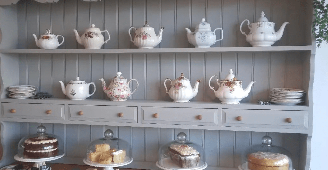 LEAF AND BEAN The TN card